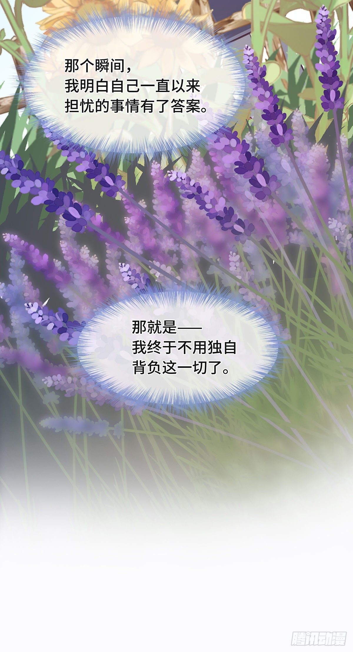 II·共度36