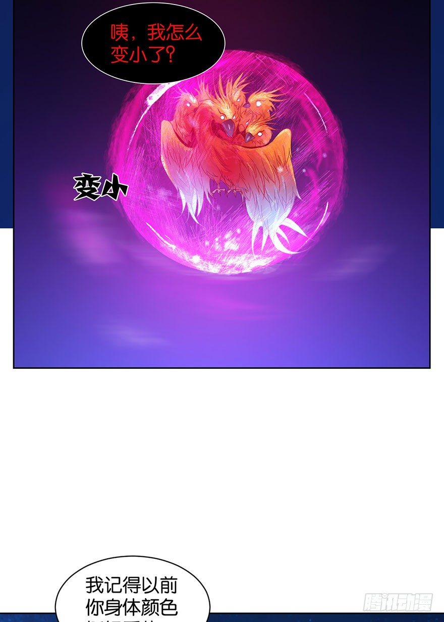 第十五话  姐，不要死10