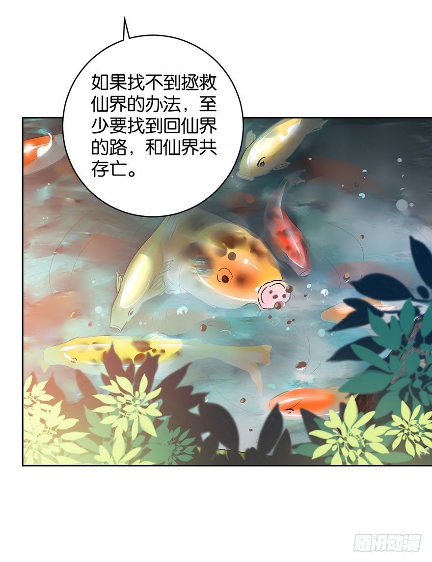 第十一话 凶杀案？6