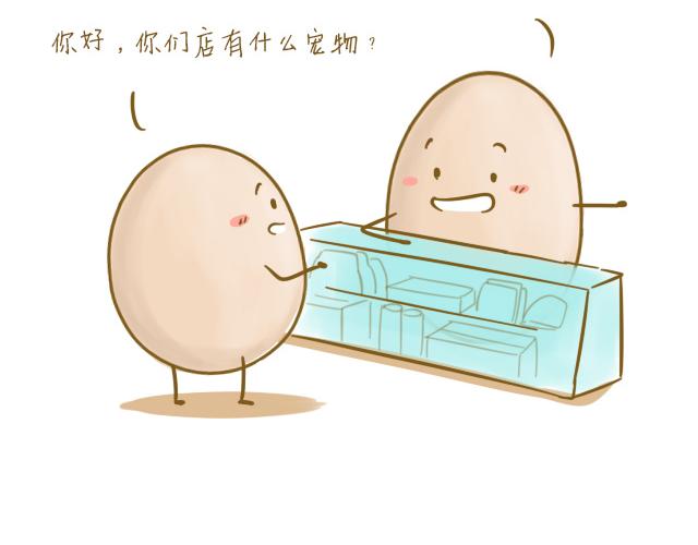 对不起，谢谢你5