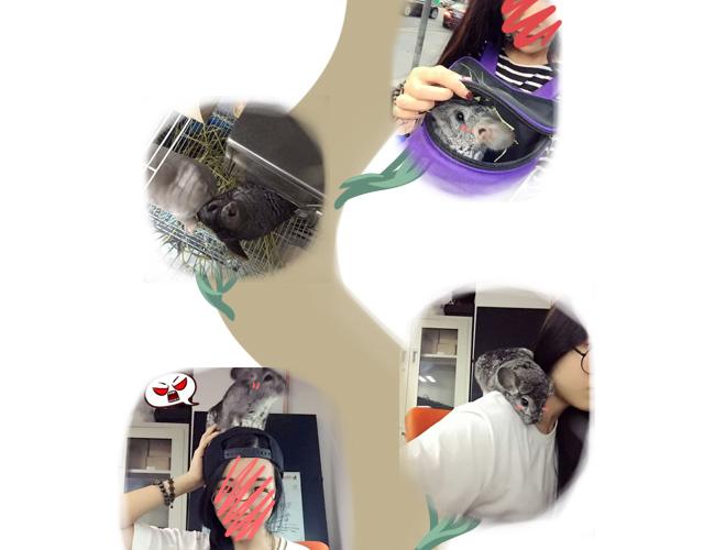 对不起，谢谢你55