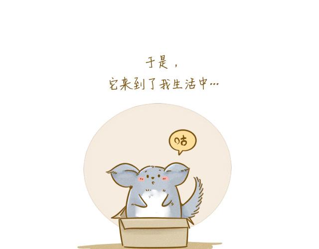对不起，谢谢你16