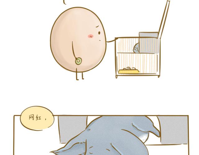 对不起，谢谢你49