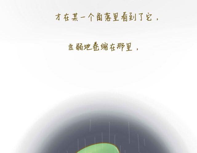 蛋蛋の友36