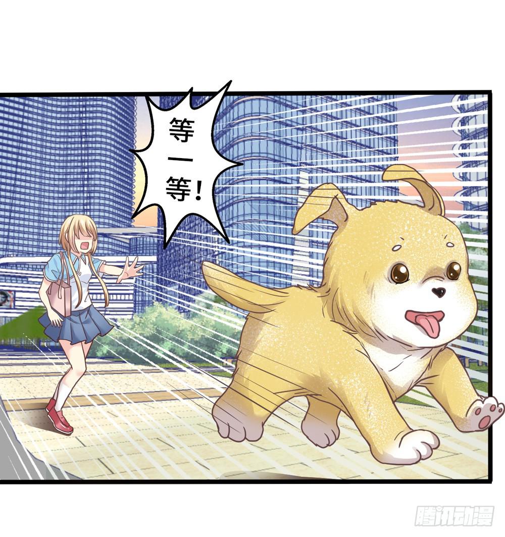 18、转角遇见谁19
