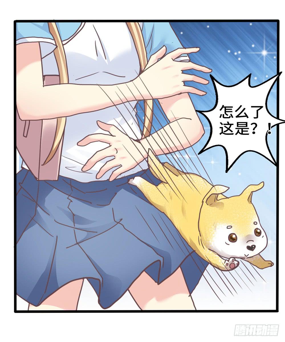 18、转角遇见谁17