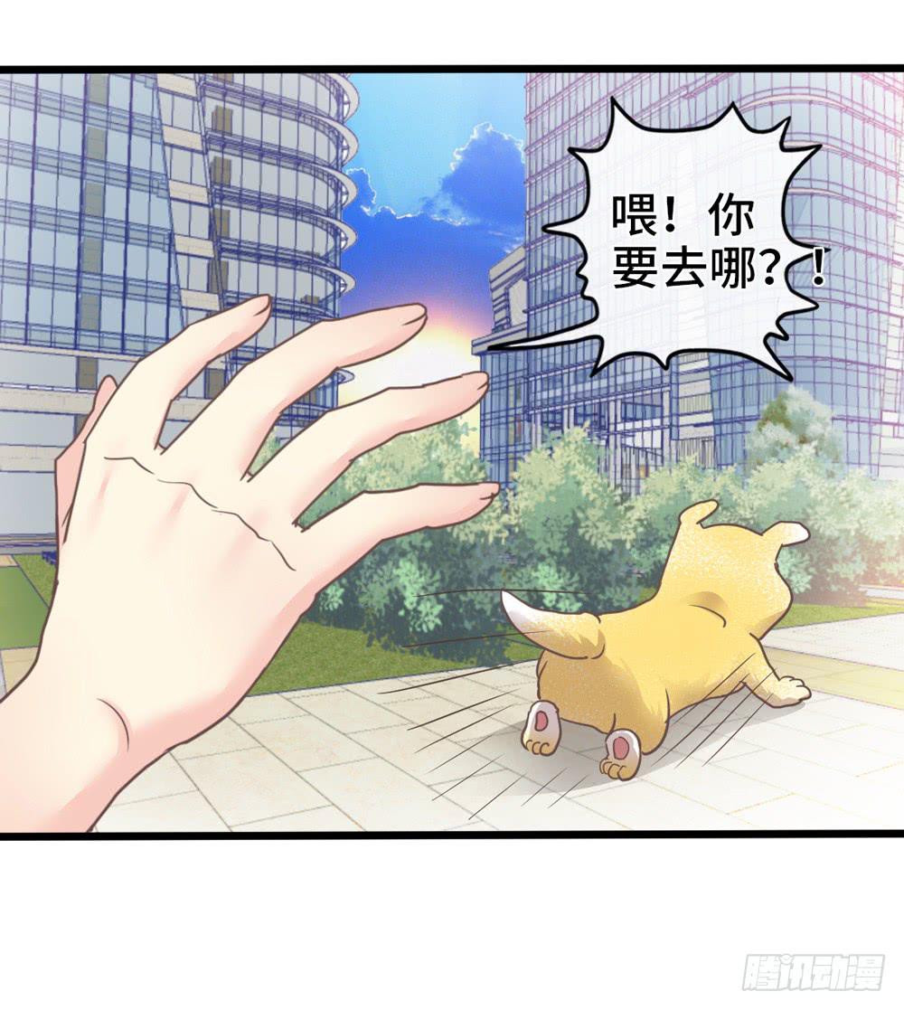 18、转角遇见谁18