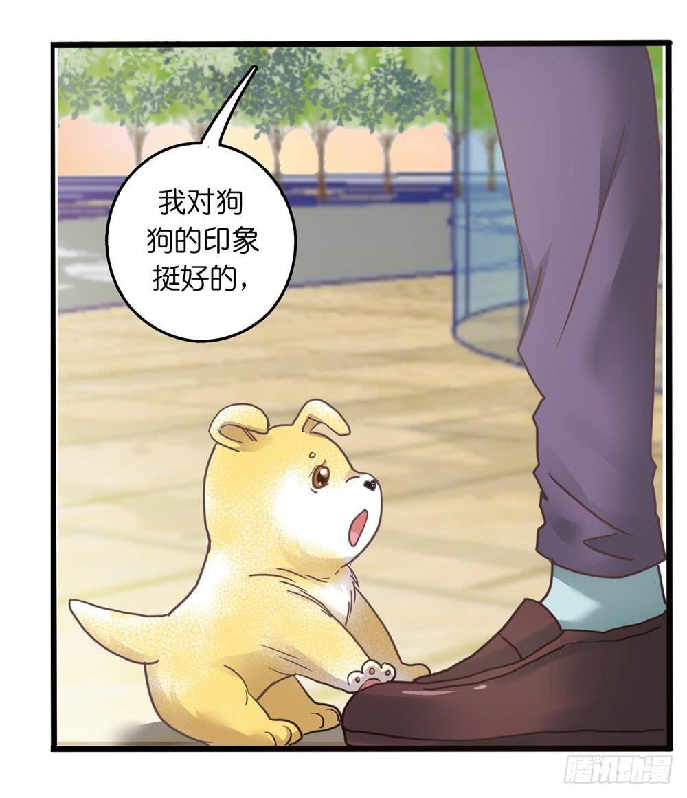 18、转角遇见谁27