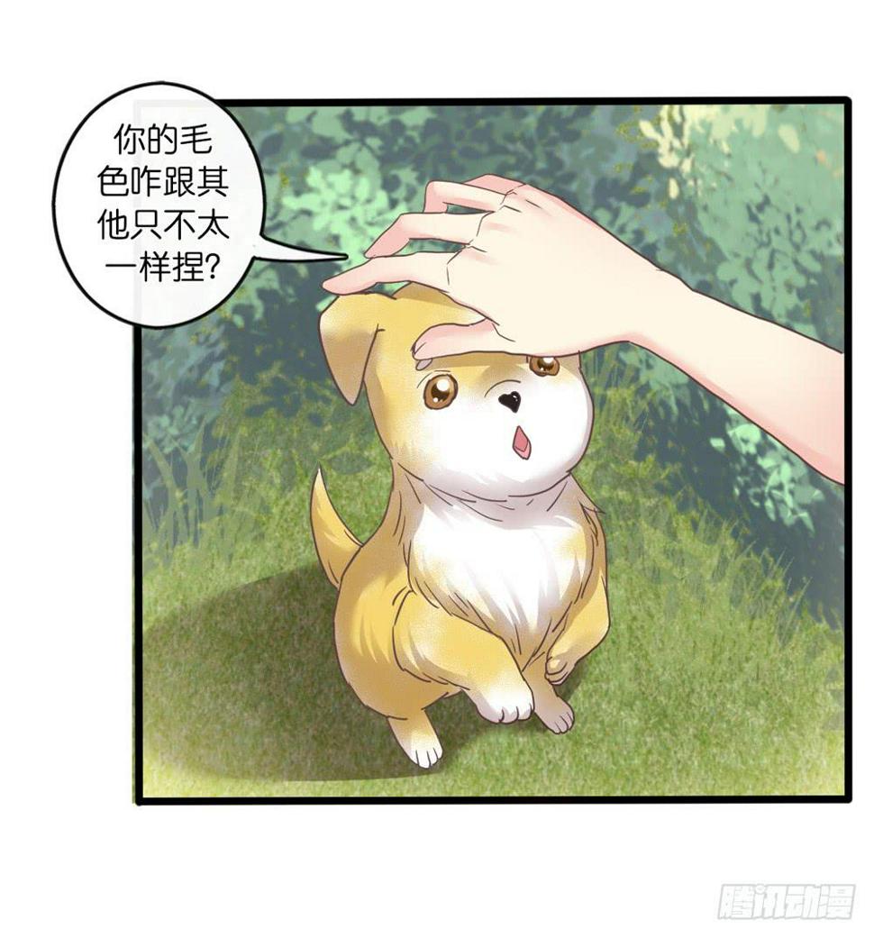 18、转角遇见谁10