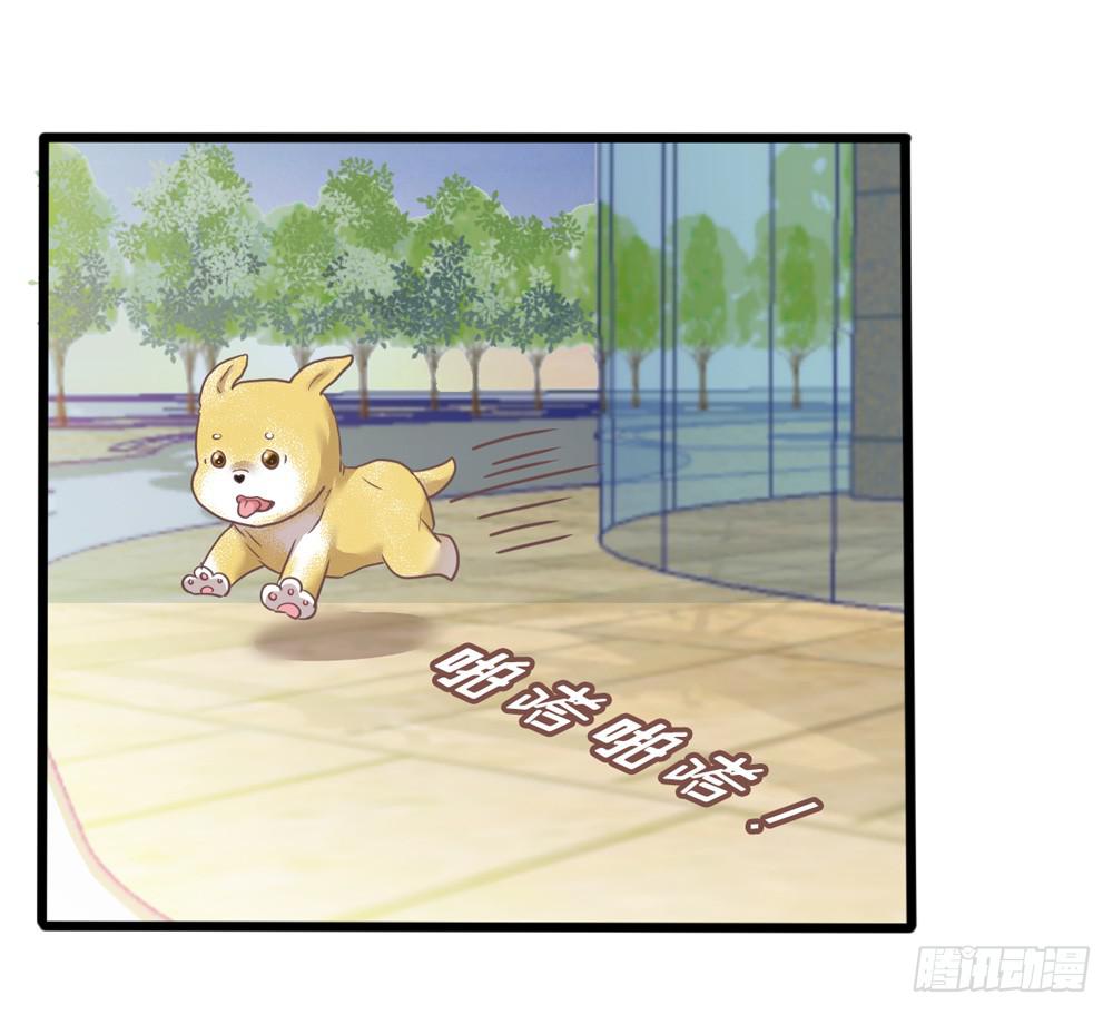 18、转角遇见谁21