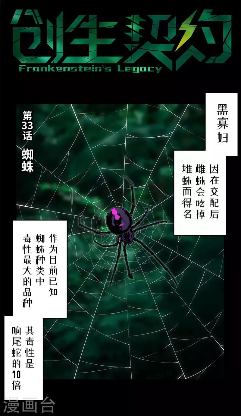 第33话 蜘蛛0