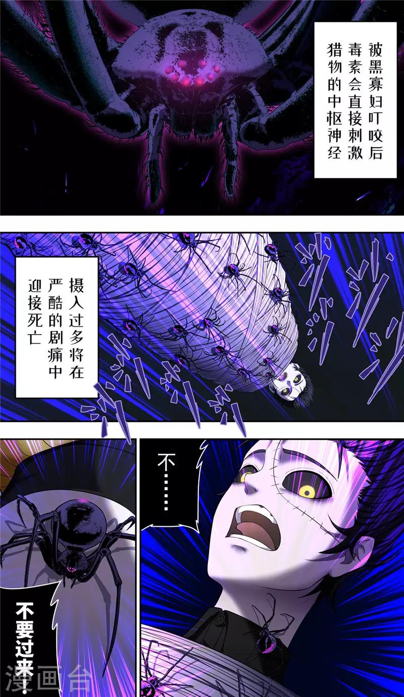 第33话 蜘蛛1