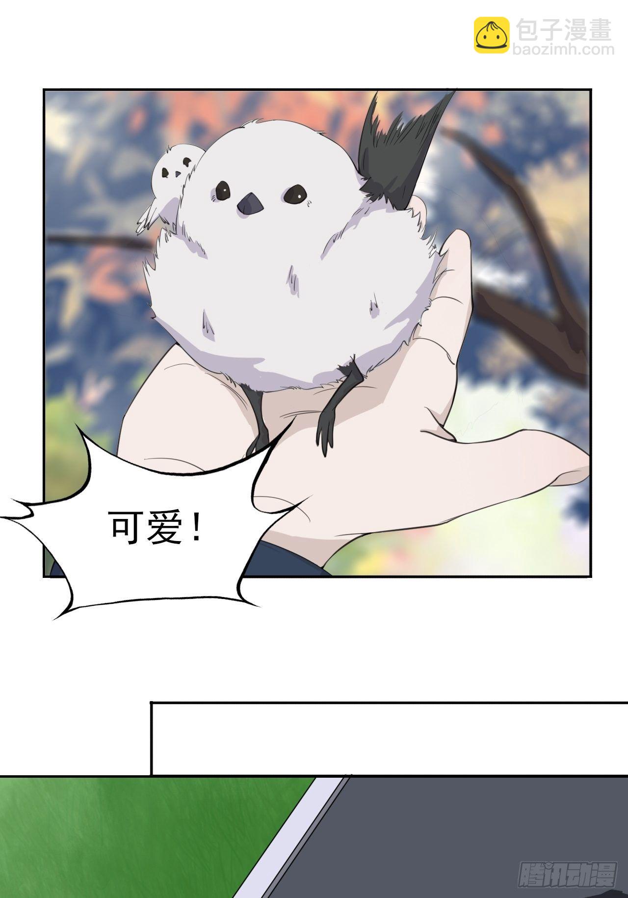 620
