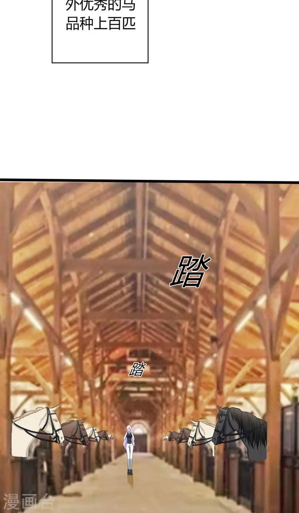 第17话 赛马4