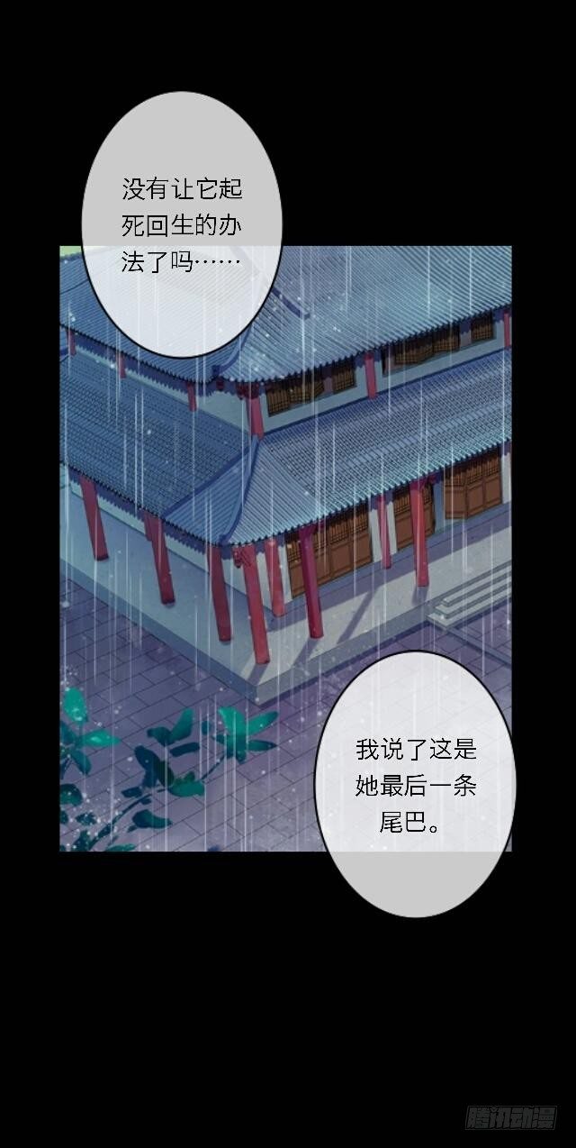 第二十七话 命运3