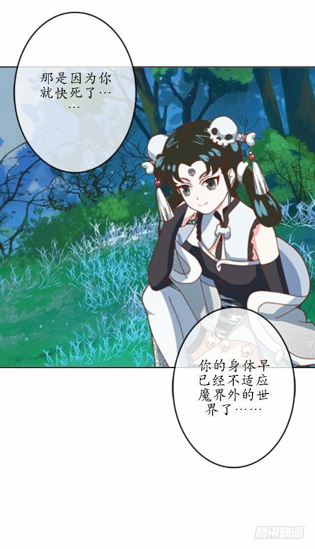 第四十话 自由25