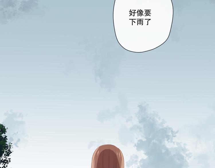 苏泽113