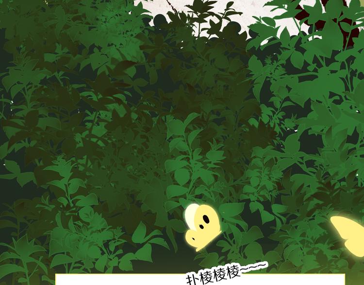看到的，听到的66