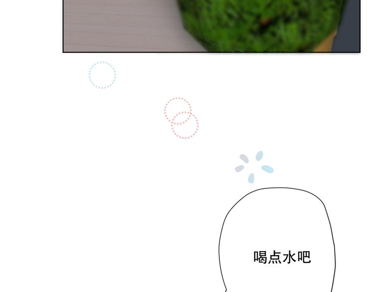 苏泽9
