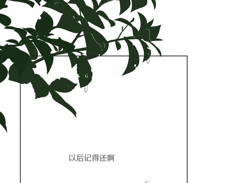 看到的，听到的208