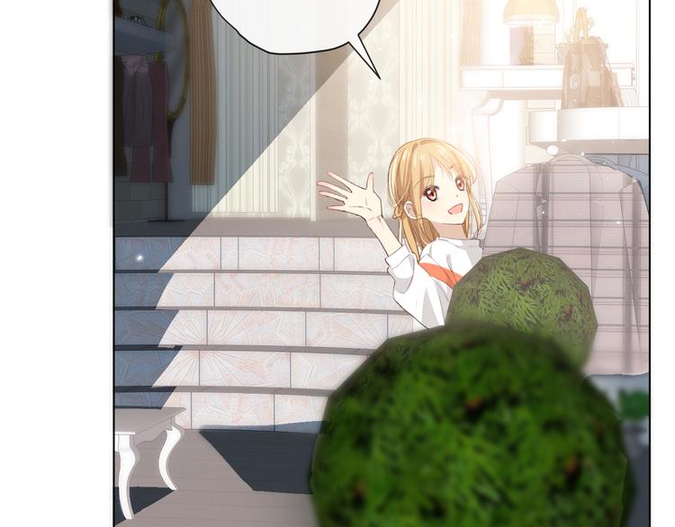 苏泽8