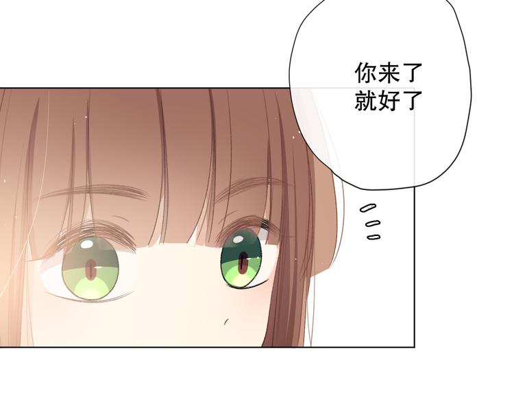 苏泽17
