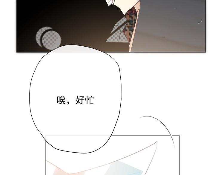 苏泽29