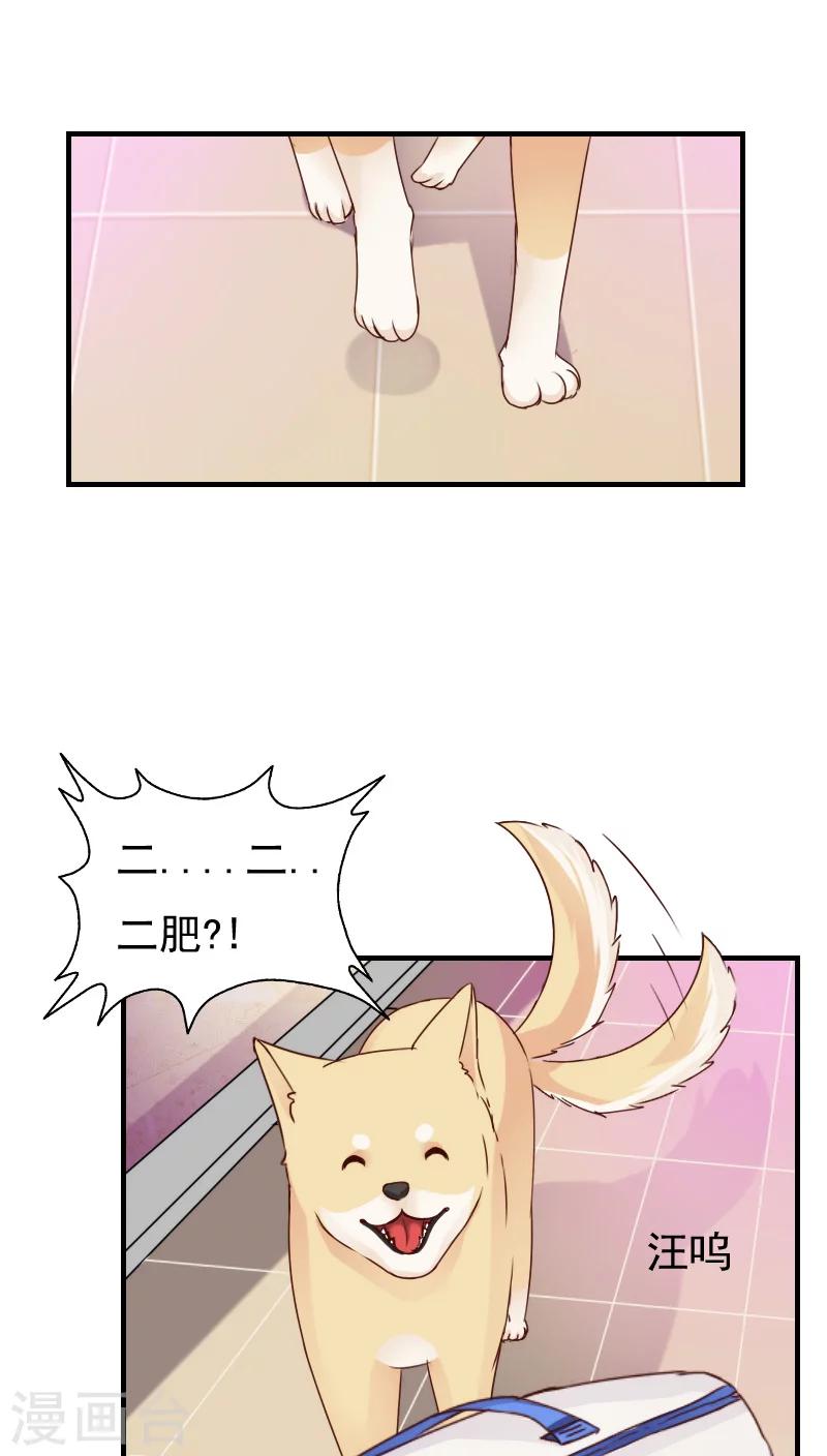 第11话22