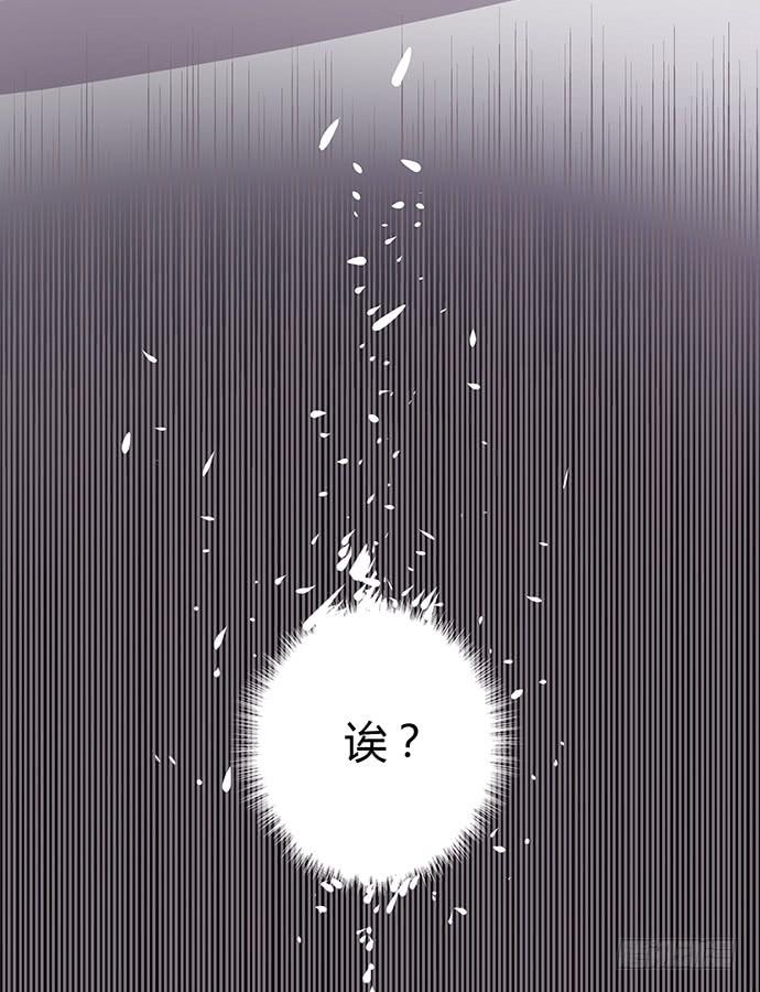 第51话31