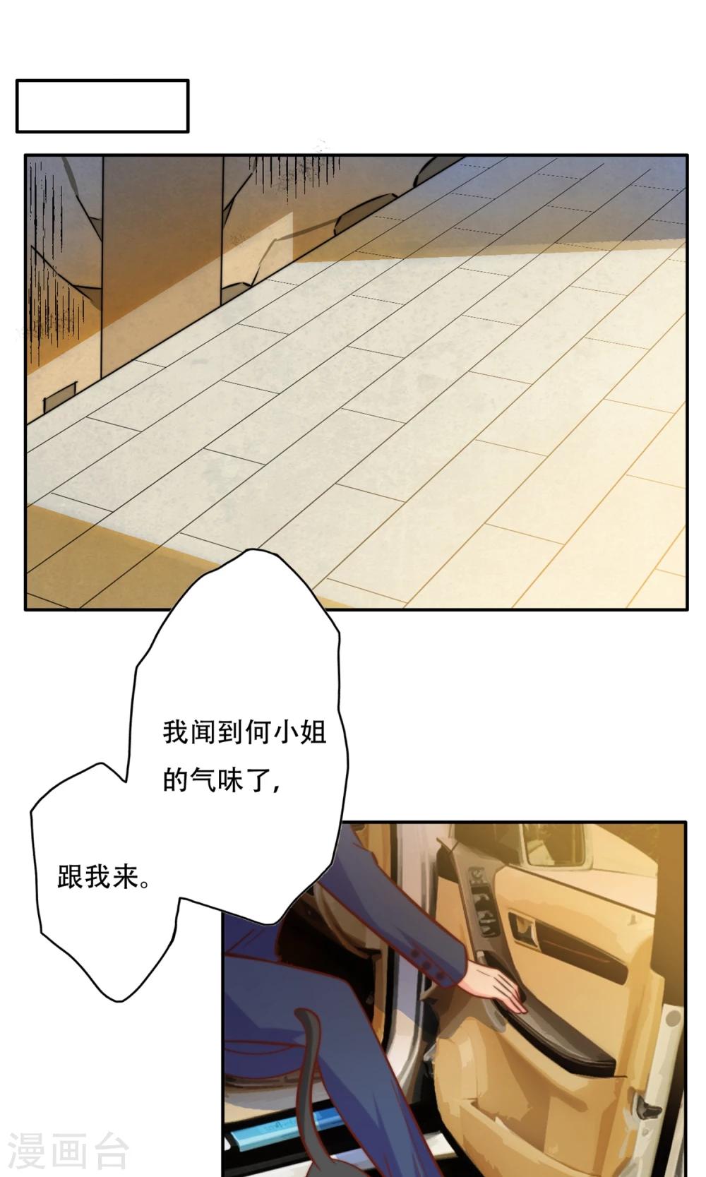 最终话 完美收官0