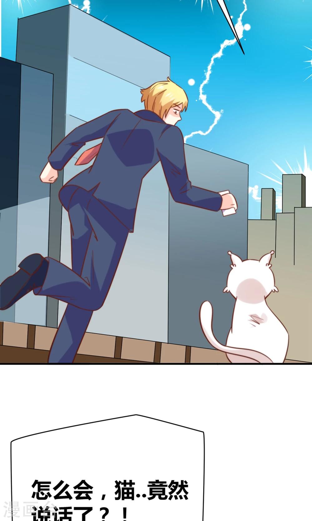 第49话 猫成精了16