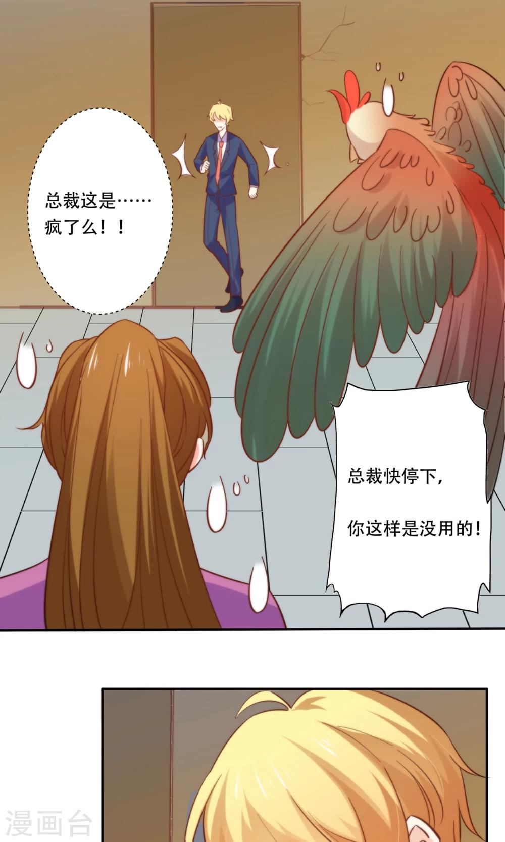 最终话 完美收官10
