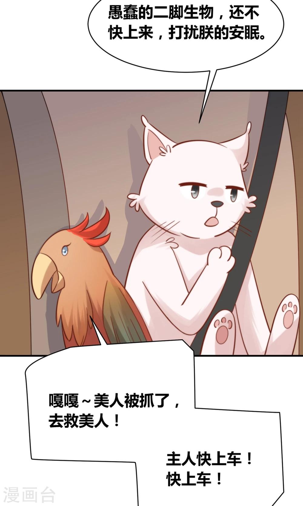 第49话 猫成精了25