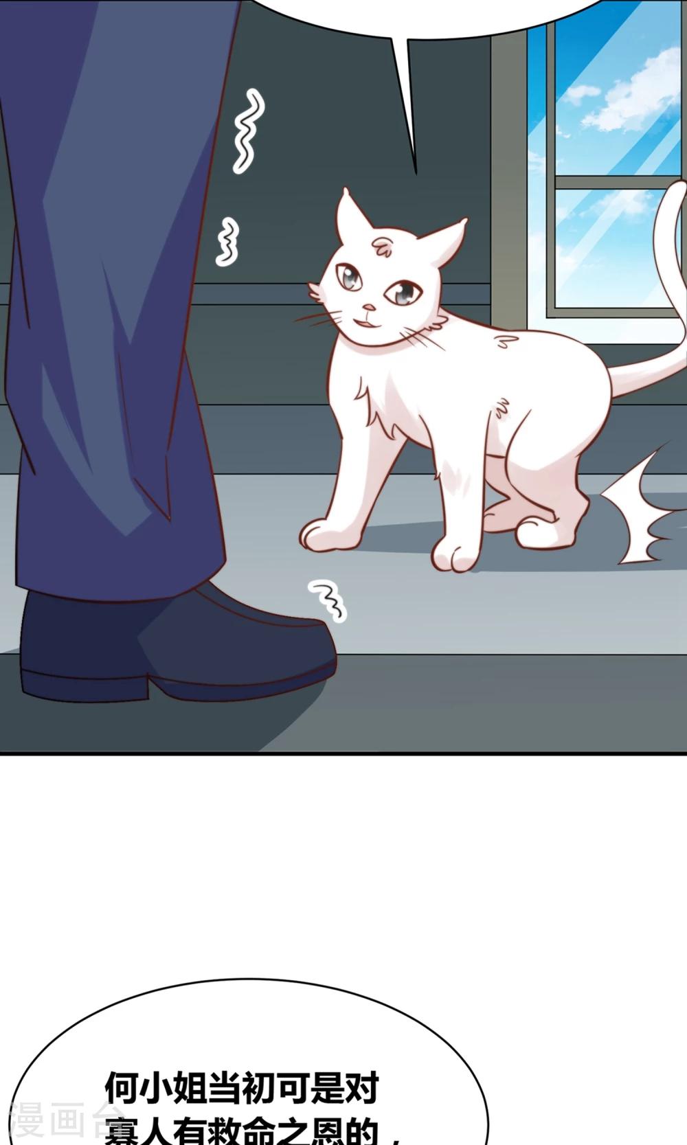 第49话 猫成精了19
