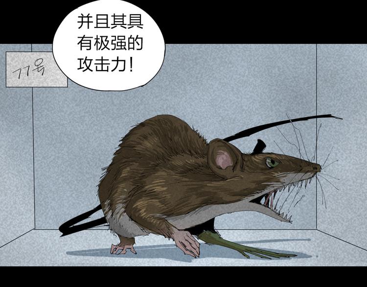 第14话 转移阵地14
