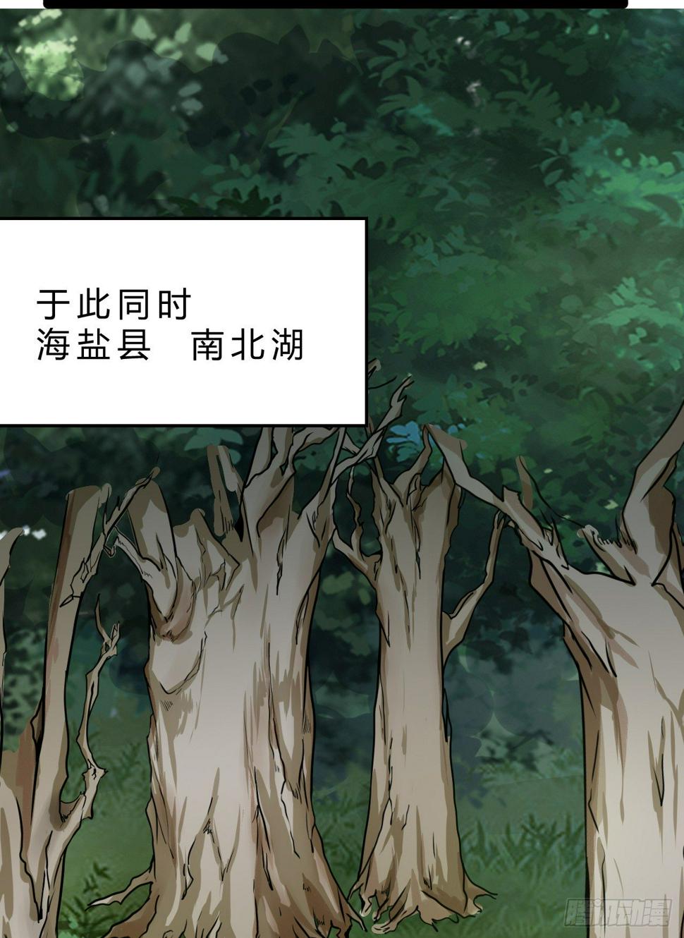 世界政府的战力36