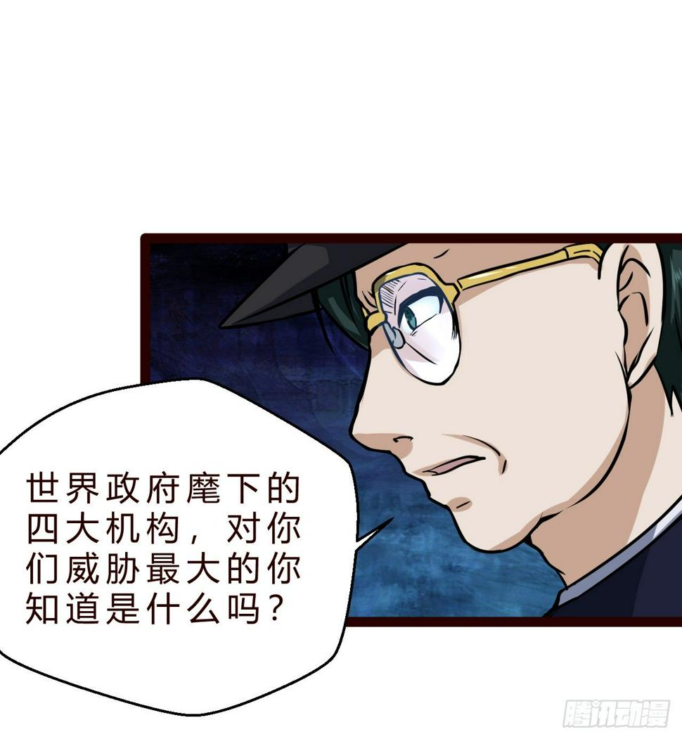 世界政府的战力24