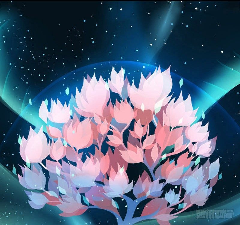 共生莲30
