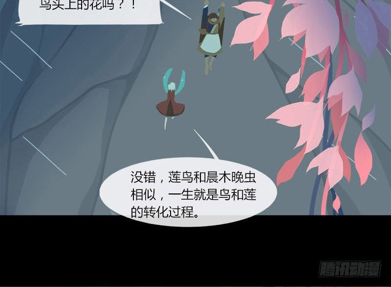 共生莲15