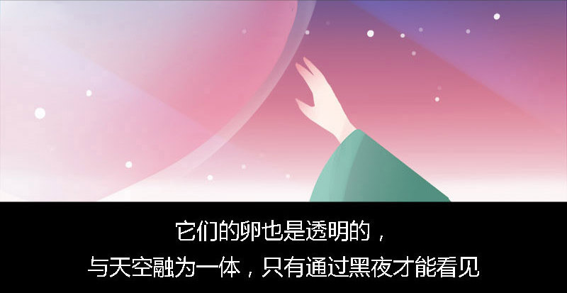透明的巢12