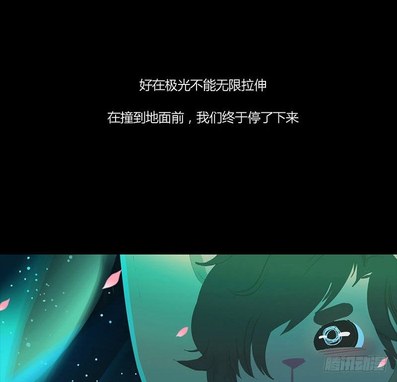 星与光与花16