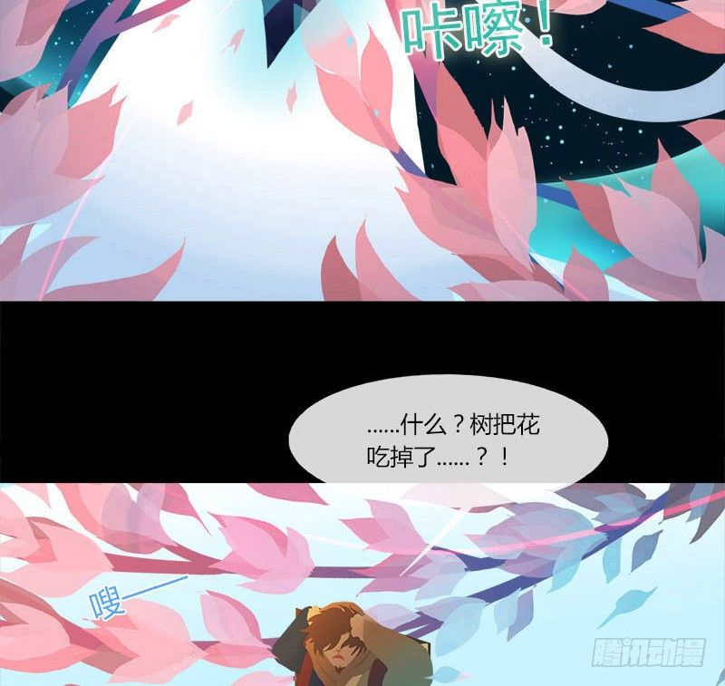 共生莲24