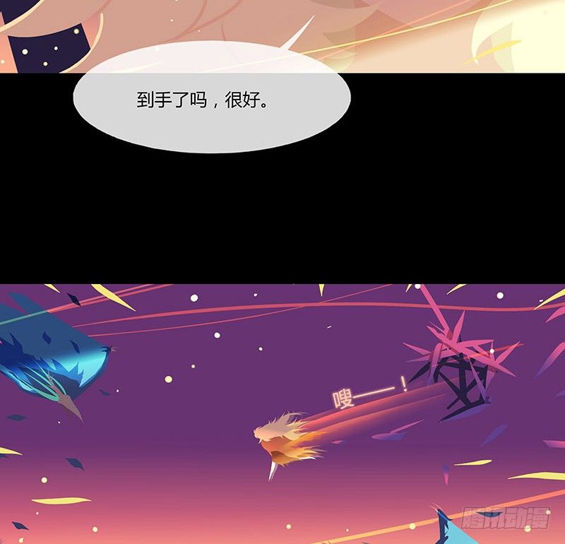 溯源鸟 下13