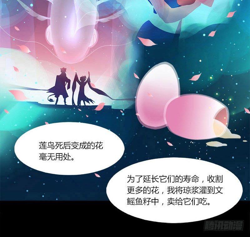 共生莲27