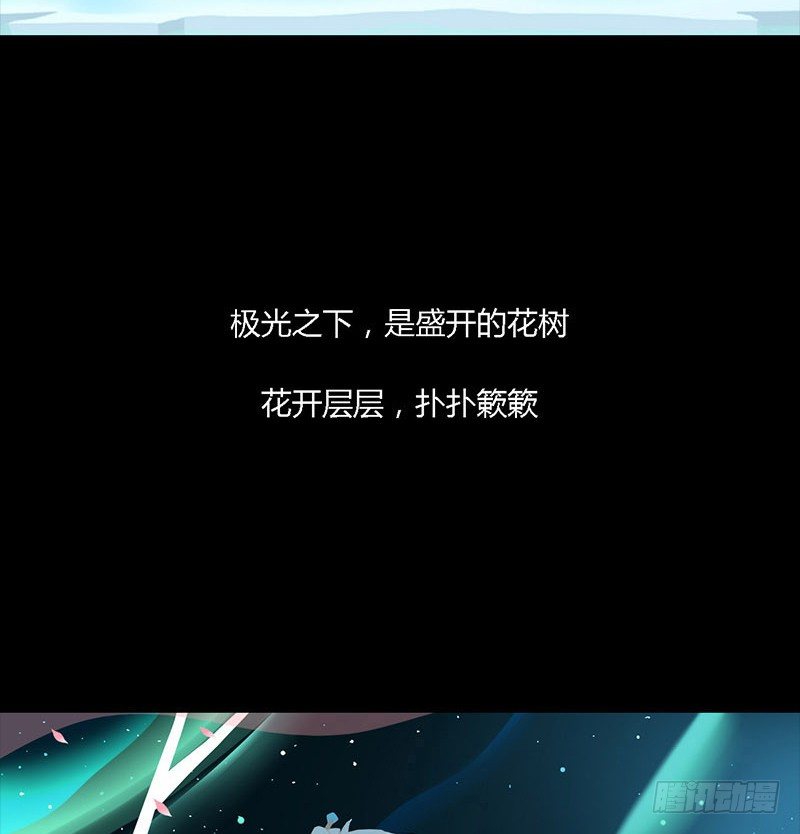 星与光与花4