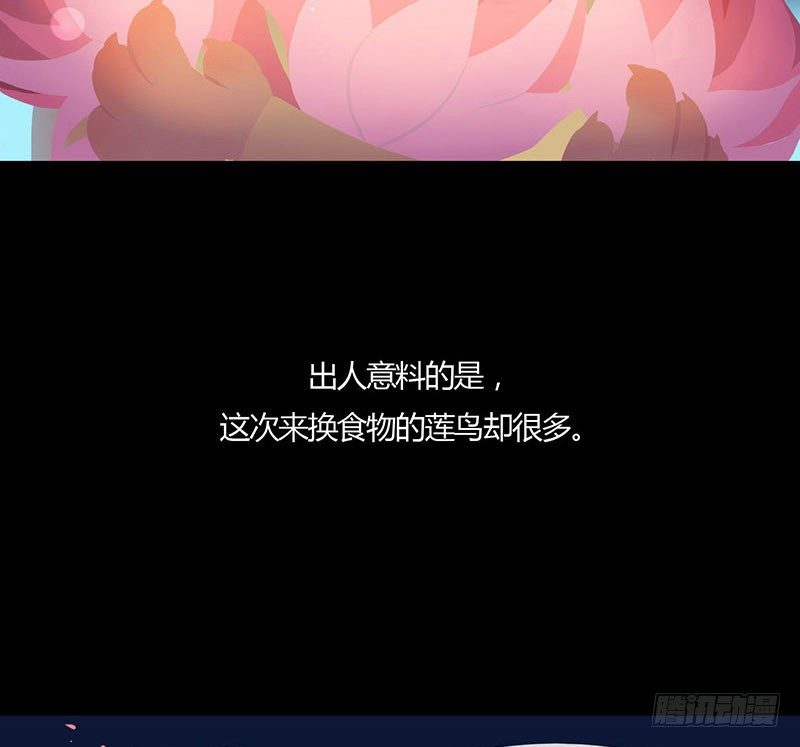 睡莲22