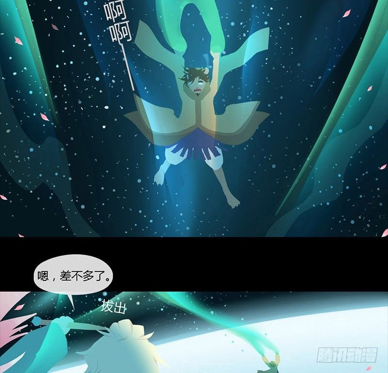 星与光与花10