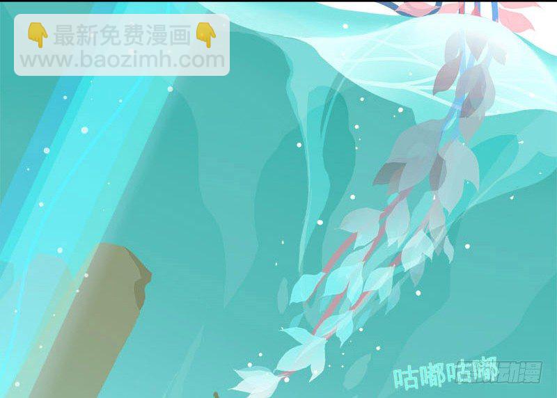 共生莲16