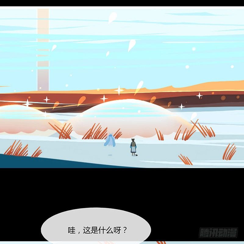 体中珠 上5