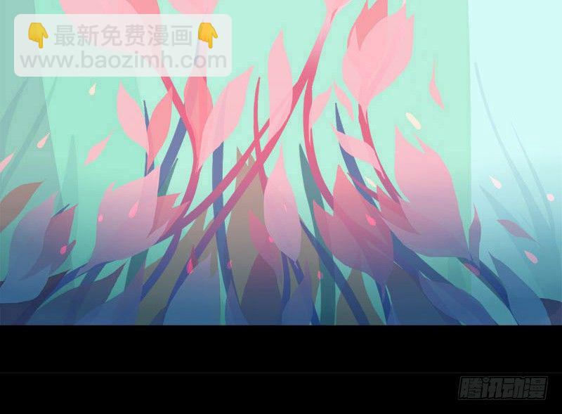 共生莲10
